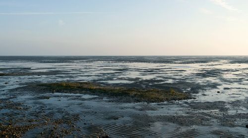 Wadden Sea National Park
