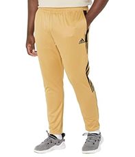 adidas Men's Tiro 21 Track Pants, Golden Beige/Black, X-Small