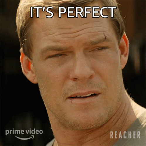 Jack Reacher Alan Ritchson Perfection GIF