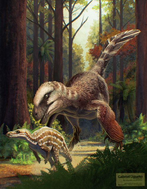 r/Paleoart - Utahraptor ostrommaysi by Gabriel N. U.