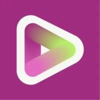 vidyo.ai Company Profile, information, investors, valuation & Funding