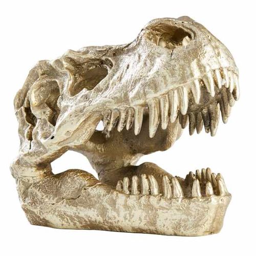 Gold T-Rex Fossil Head, 6"
