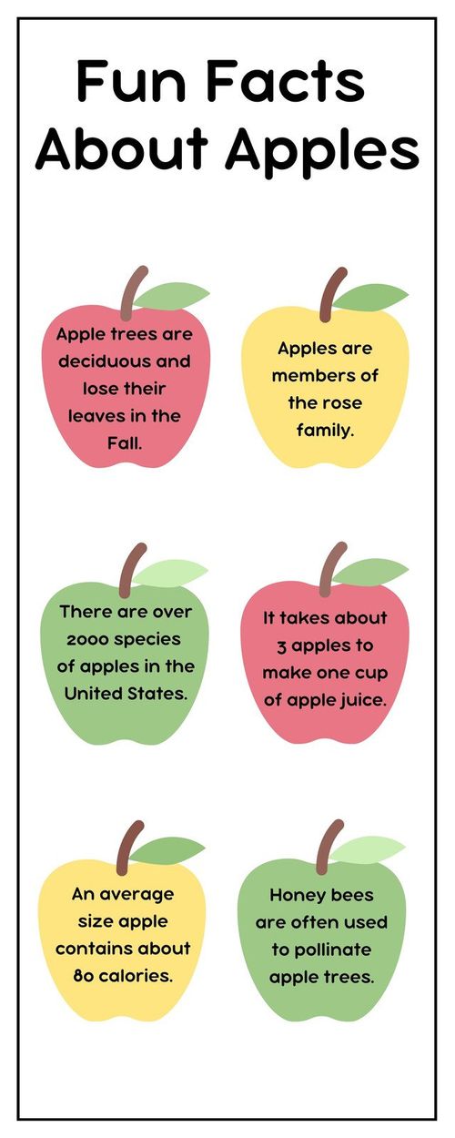 Apple Facts Infographic in Green Red Yellow Illustrative Style