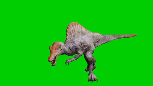 Dinosaur, Spinosaurus, Prehistoric