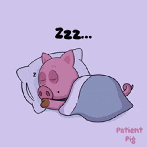 a cartoon pig is sleeping in a bed with the words zzz patient pig below it