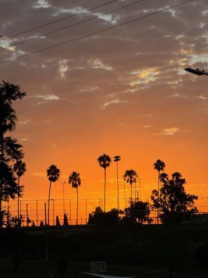 Edward Vincent Jr. Park