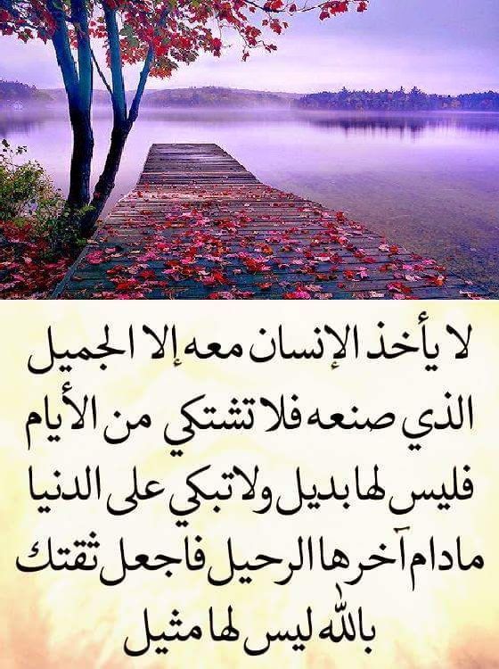 حكم ومواعظ | Beautiful arabic words, Arabic quotes, Funny arabic quotes