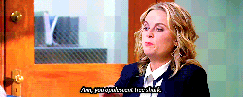 14 Things to Tell Your Friends On Galentine's Day (by Leslie Knope)