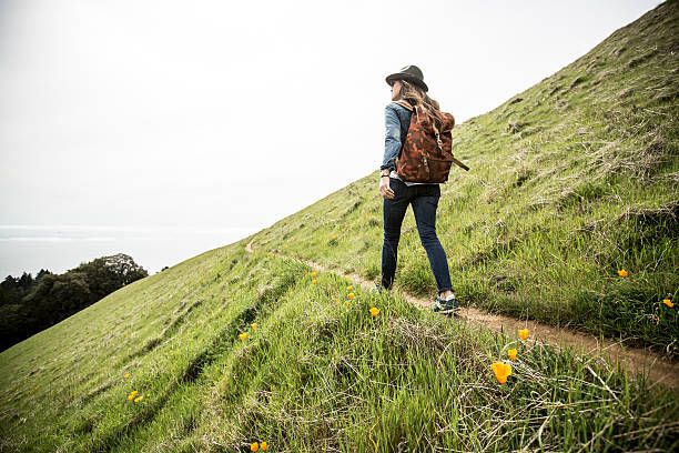 woman day hiking - women hiking stock pictures, royalty-free photos & images