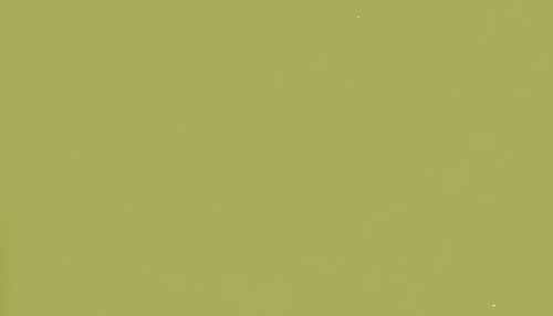 Photo light classic olive rough abstract background design