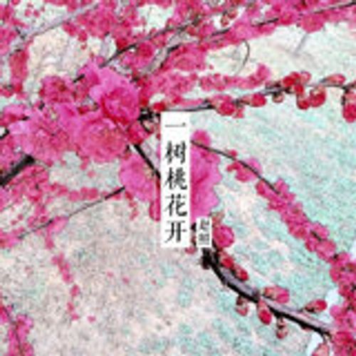 赵照 - 一树桃花开