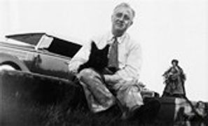 战火锻造的富兰克林家族