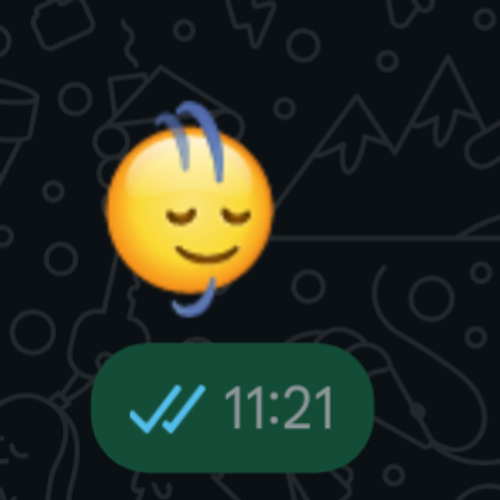 r/whatsapp - What's this emoji? 🙂‍↔️