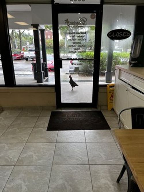 Giardino Gourmet Salads