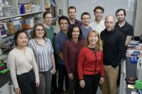 The Christopher Lima Lab | Sloan Kettering Institute
