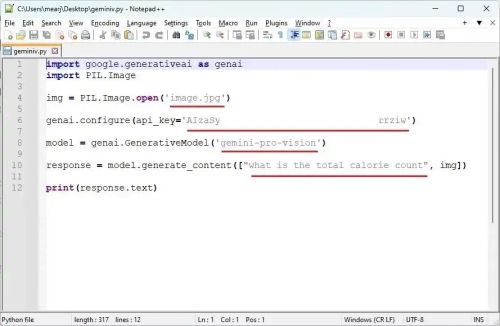 如何访问和使用Google Gemini API密钥（附示例）