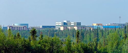 Polar Bears and Northern Lights