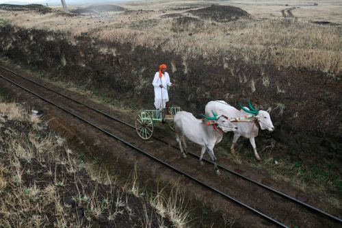 bullock cart driven on gauge railway line miraj, maharashtra, india, asia - bullock cart india stock pictures, royalty-free photos & images