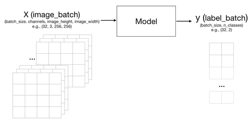 Model inputs and outputs