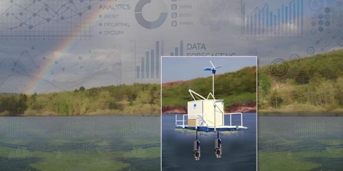 Microhuertos con IA: la revolución verde que purifica el aire y genera combustible