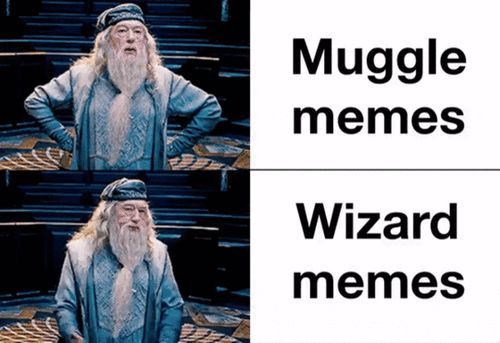 Dumbledore • Harry Potter • muggle • wizard • meme • funny • gif • catchymemes