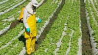 Adulterar agrotóxico sem autorização gera danos difusos e reparação coletiva, decide STJ