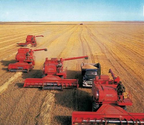 Canada (Jordbruk) (skurtreskere)