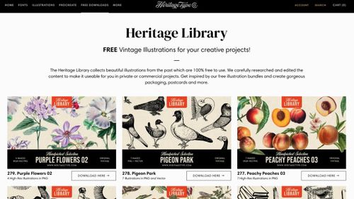 Best free public domain picture websites 7