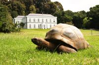 Scientists analysed the DNA of world’s oldest land animal. What they found was staggering - BBC Wildlife Magazine