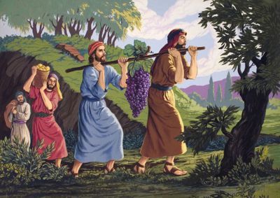 Canaan was “a land flowing with milk and honey”