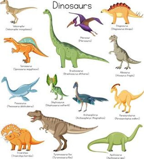 Different types of dinosaurs with names vector