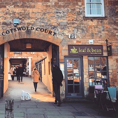 Leaf and Bean
