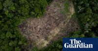 Colombian Amazon deforestation surges as armed groups tighten grip | Colombia | The Guardian