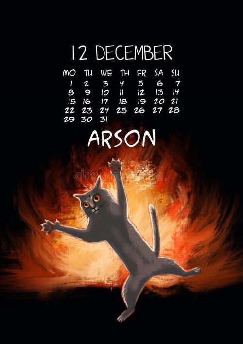 2025 Annual Calendar animals. Month illustration. Hand Drawn Cat in fire meme. Fire meme illustrations