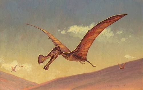 Ornithocheirus
