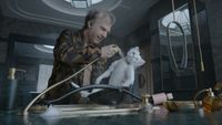 Tom Cruise’s ‘Digger’ Plunging at Box Office With Less Than $10M as ‘Verity’ Leads - hollywoodreporter.com