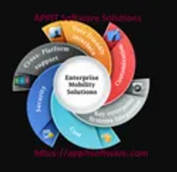 Appit Software Solutions Private Limited - About Us