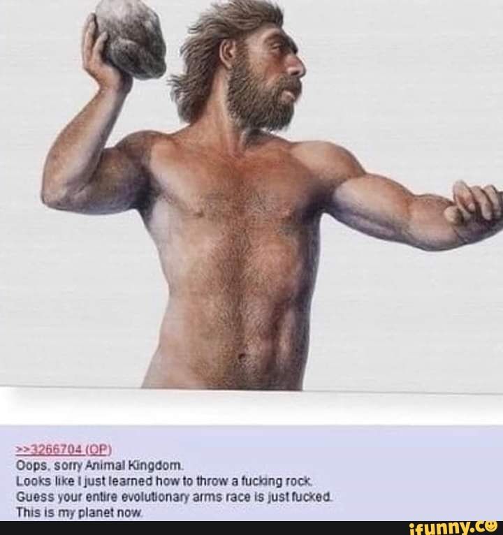 anBn
