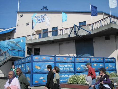 Aquarium of the Bay