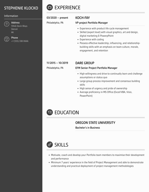 Project Portfolio Manager Resume Sample
