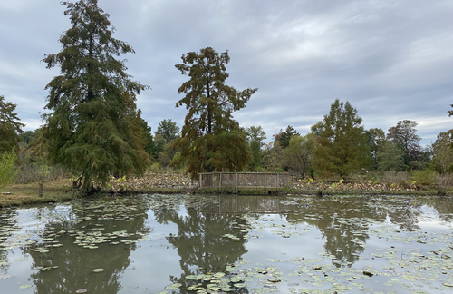 Kenilworth Aquatic Gardens