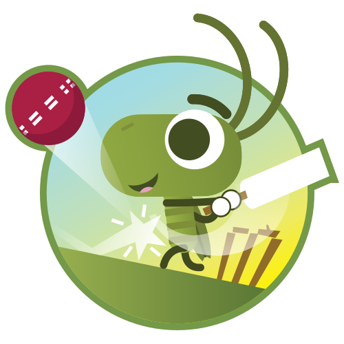 Doodle Cricket