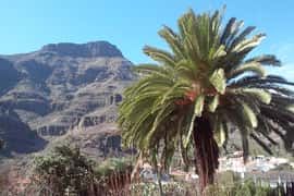 Jardín Botánico Viera y Clavijo