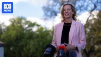 Tasmanian Labor leader Rebecca White resigns after three election losses - ABC News