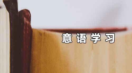 意语学习乐园