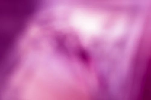 pink and purple color tone abstract - Photo, Image