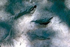 dinosaur tracks