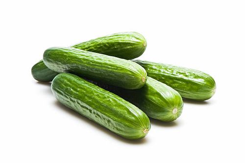 Cucumber