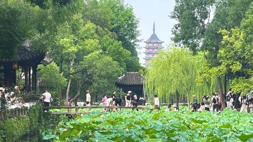 Winding paths and water features