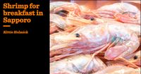 Shrimp for breakfast in Sapporo | Kittie Helmick | The Critic Magazine